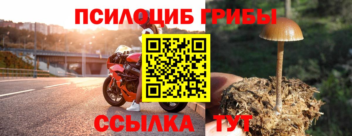 Псилоцибиновые грибы MAGIC MUSHROOMS Южно-Сахалинск