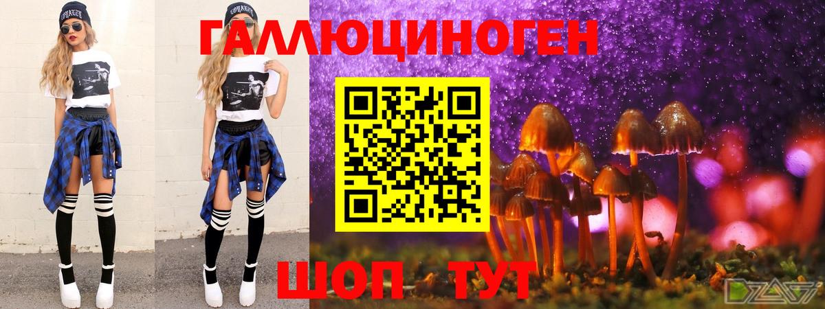 Южно-Сахалинск  Галлюциногенные грибы прущие грибы  Вход с VPN 
